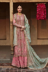 Aadoo Luxury Wedding Festive Edit'26 - Z-1589