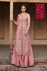 Aadoo Luxury Wedding Festive Edit'26 - Z-1589