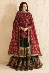 Luxury Embroidered Velvet Formal VF-2036 - Z-1390