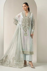 Mbroidered Wedding Chiffon ’25 – BDS-3005 - Premium Bridal & Formal Dress - Z-1345