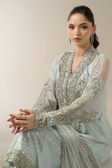 Mbroidered Wedding Chiffon ’25 – BDS-3005 - Premium Bridal & Formal Dress - Z-1345