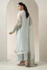 Mbroidered Wedding Chiffon ’25 – BDS-3005 - Premium Bridal & Formal Dress - Z-1345