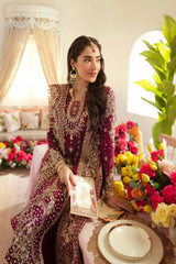 Dilnaz Wedding Formal ’25 – DN-07 Aleena | Luxury Bridal & Formal Dress - Z-1396