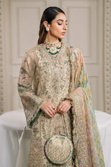 Chantelle Embroidered Chiffon ’25 – CH12-04 | Luxury Formal & Party Wear - Z-1020