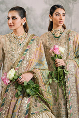 Chantelle Embroidered Chiffon ’25 – CH12-04 | Luxury Formal & Party Wear - Z-1020