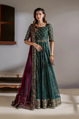 Meraki Luxury Embroidered Wedding Net Maxi CC-65 - Z-1706