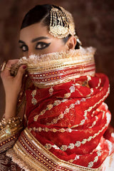 Wedding Couture ’25 – Biya Begum D3 | Luxury Bridal & Formal Dress Z-1363