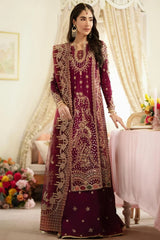 Dilnaz Wedding Formal ’25 – DN-07 Aleena | Luxury Bridal & Formal Dress - Z-1396