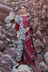 Printed Embroidered Lawn'26 - ASNA-DESIGN-3 - Z-1553